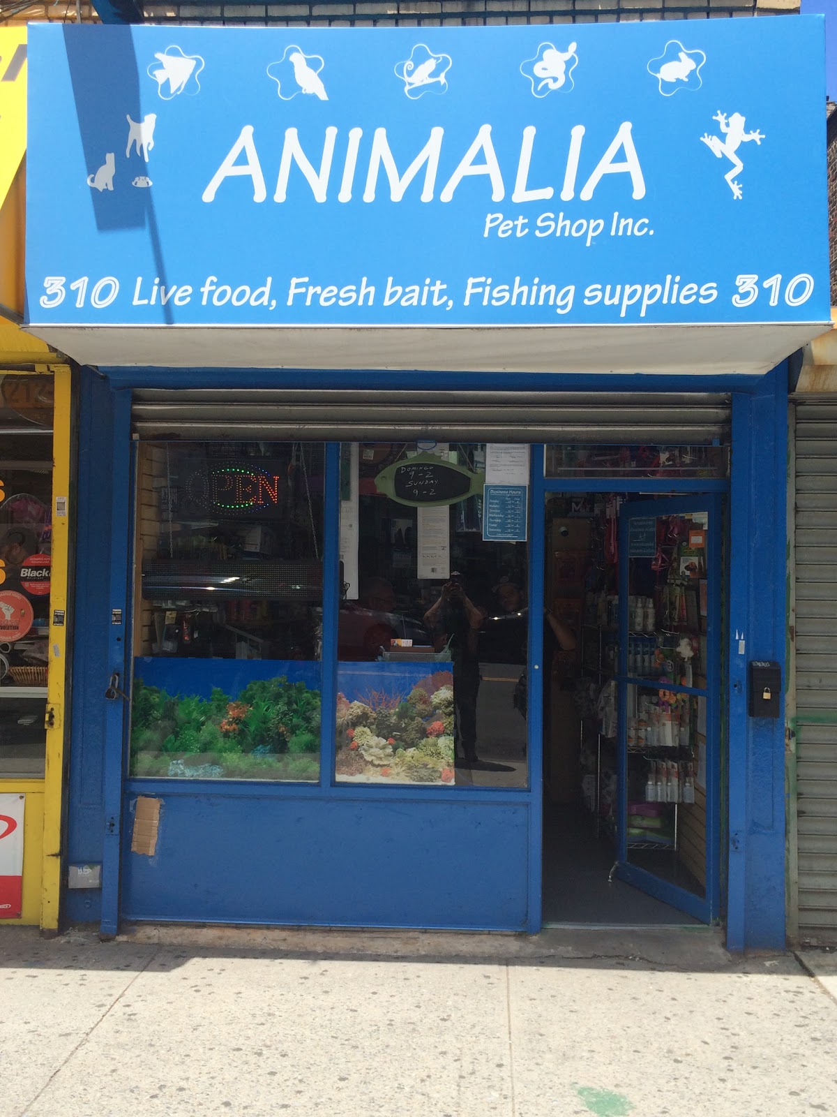 Photo of Animalia Pet Shop Inc in New York City, New York, United States - 1 Picture of Point of interest, Establishment, Store