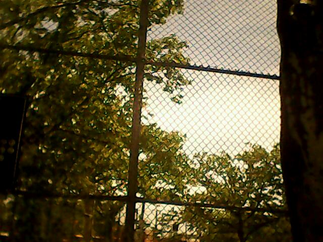 Photo of Campanaro Playground in Bronx City, New York, United States - 2 Picture of Point of interest, Establishment