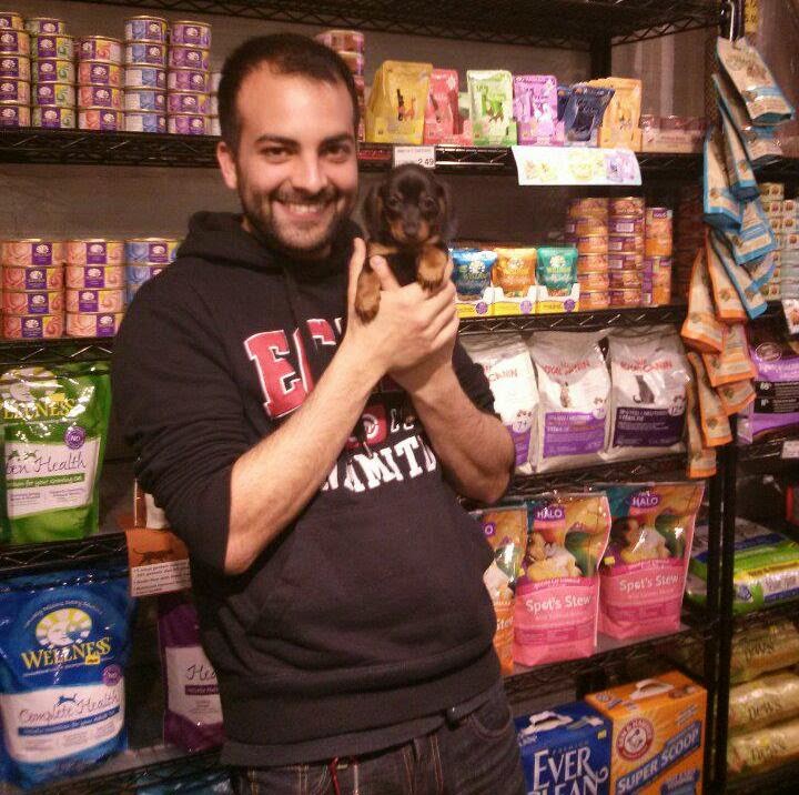 Photo of Citipups Village in New York City, New York, United States - 10 Picture of Point of interest, Establishment, Store, Pet store