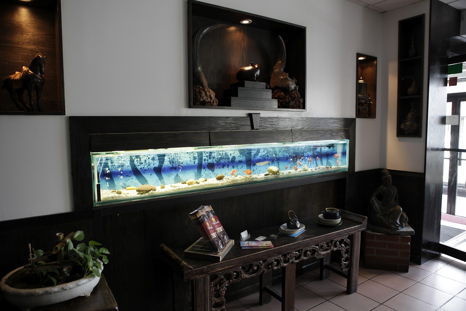 Photo of Takara Sushi in Whitestone City, New York, United States - 1 Picture of Restaurant, Food, Point of interest, Establishment
