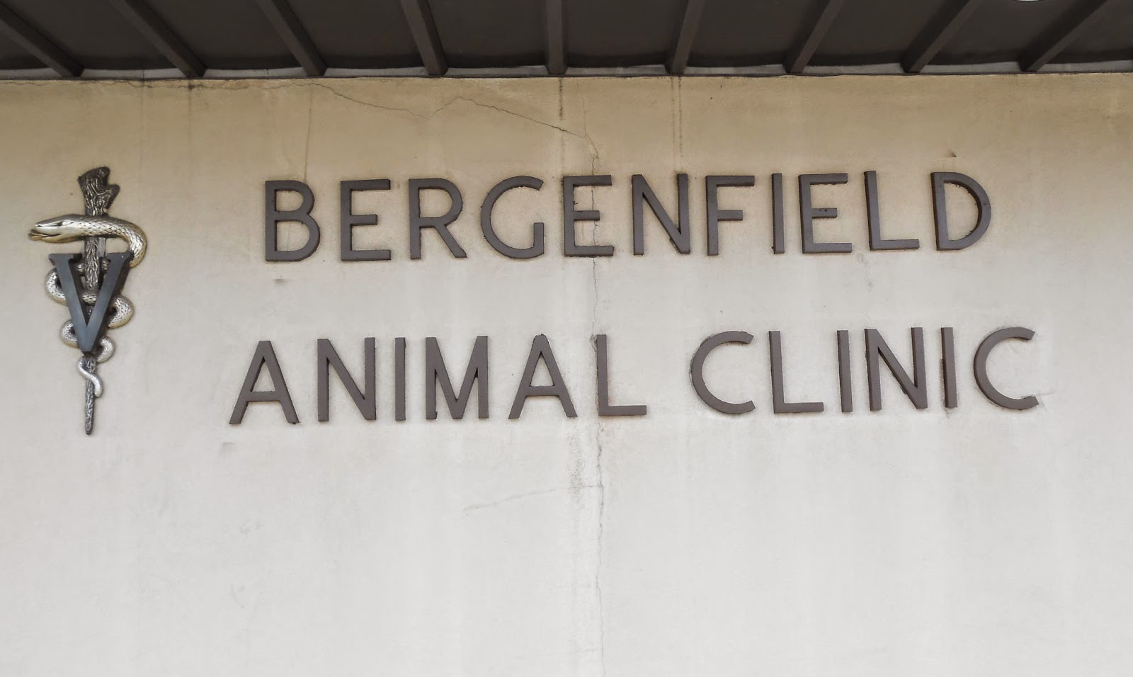 Photo of Bergenfield Animal Clinic in Bergenfield City, New Jersey, United States - 5 Picture of Point of interest, Establishment, Veterinary care