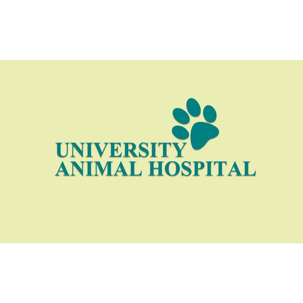 Photo of University Animal Hospital in Uniondale City, New York, United States - 2 Picture of Point of interest, Establishment, Veterinary care