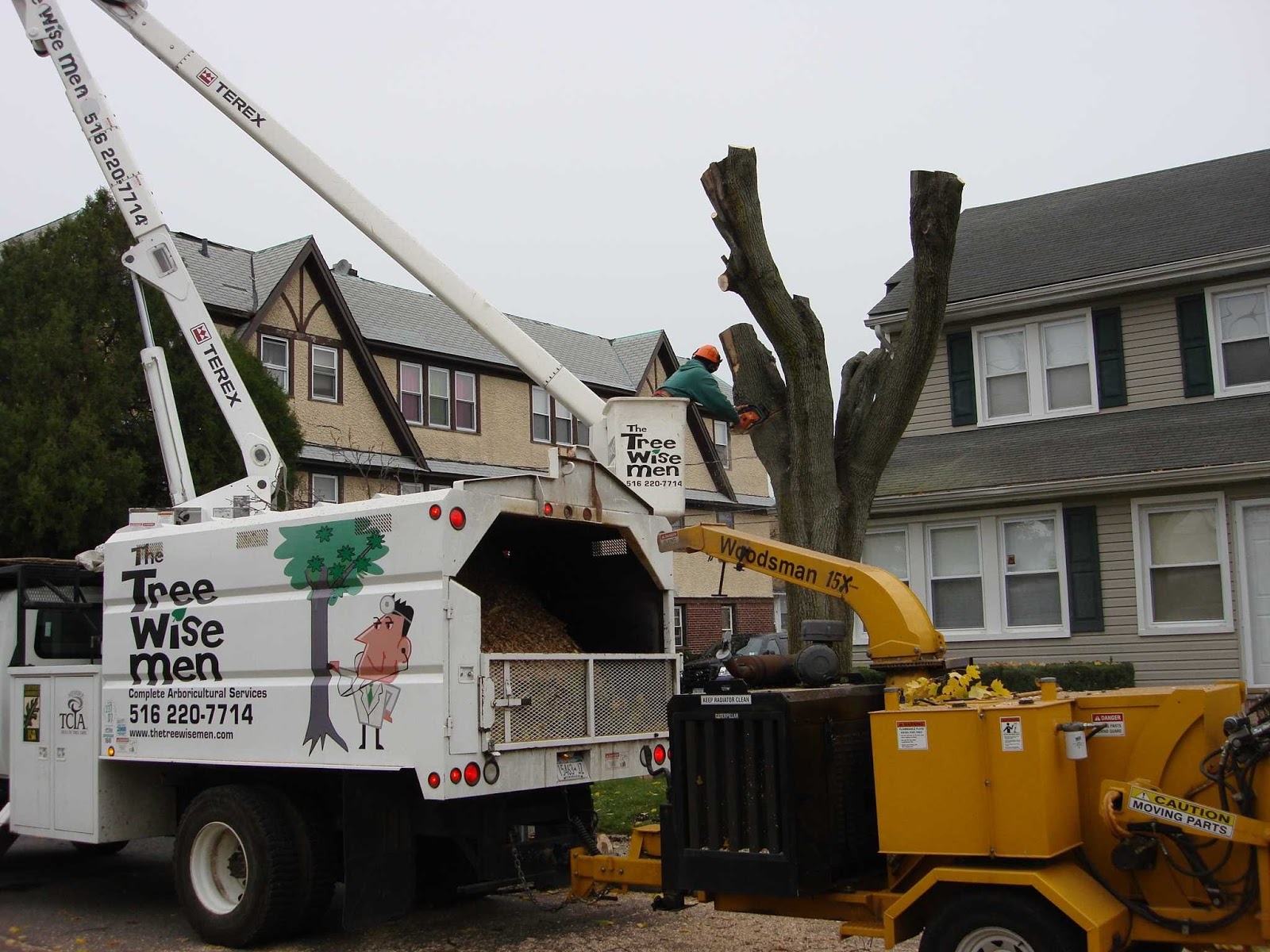 Photo of The Tree Wise Men in Rockville Centre City, New York, United States - 2 Picture of Point of interest, Establishment