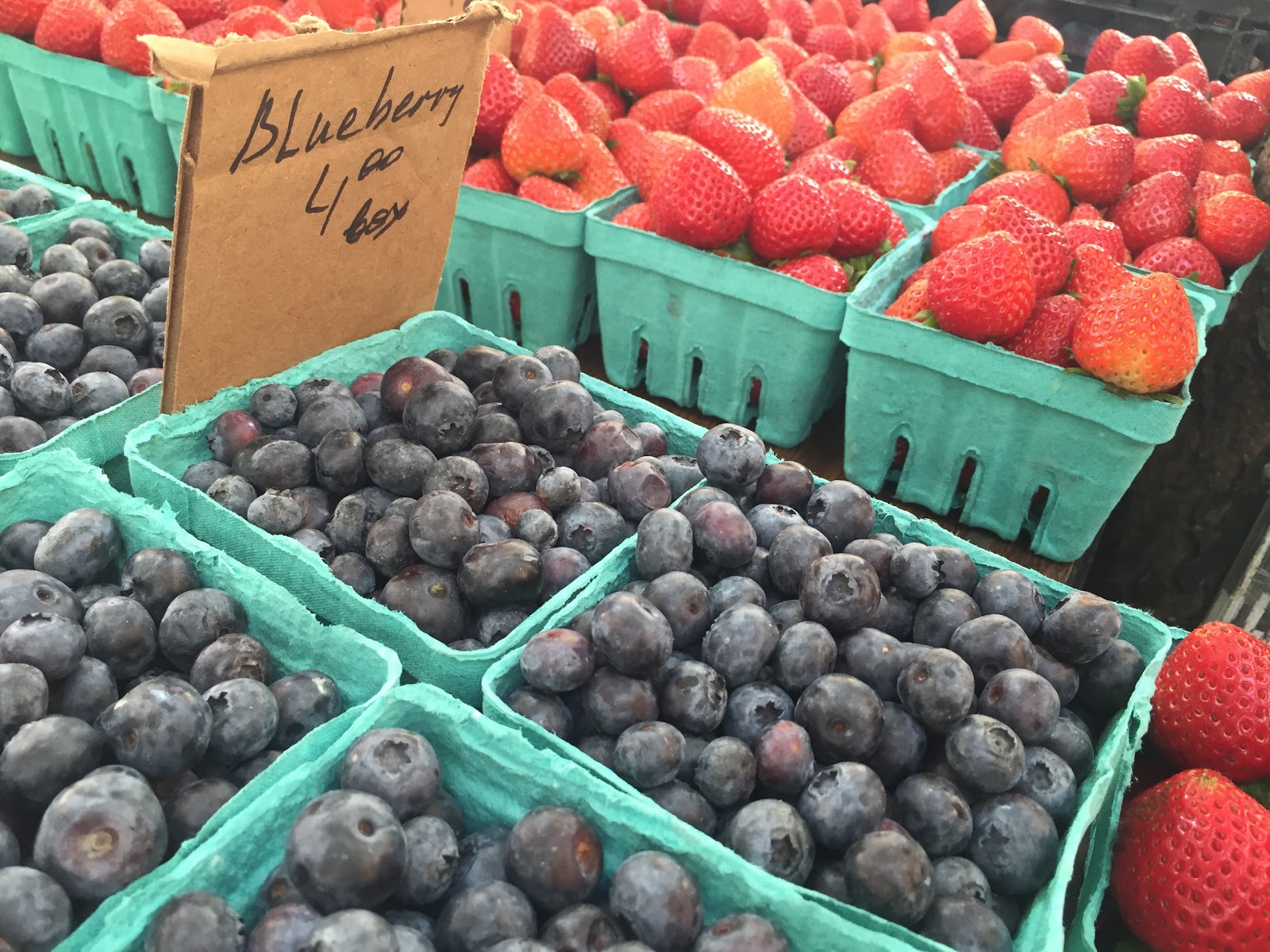 Photo of Jamaica Market in Queens City, New York, United States - 3 Picture of Food, Point of interest, Establishment