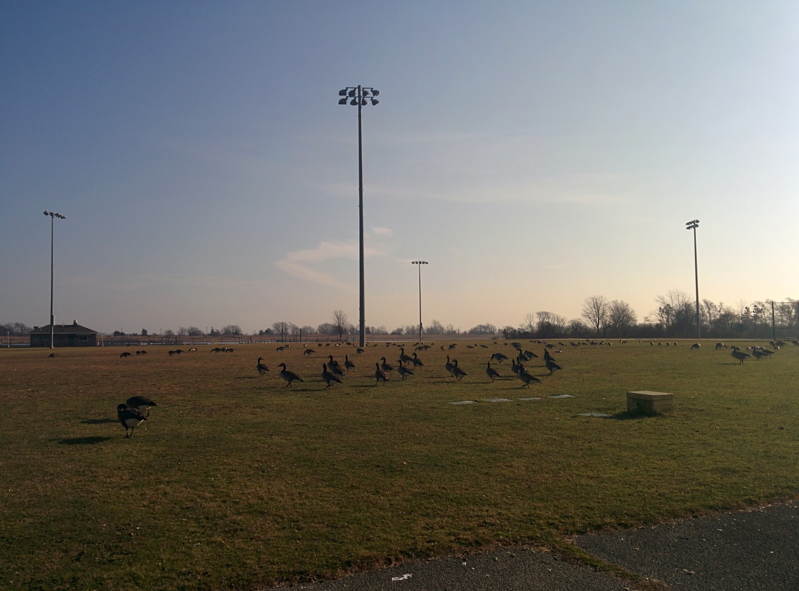 Photo of Cow Meadow Park in Freeport City, New York, United States - 2 Picture of Point of interest, Establishment, Park