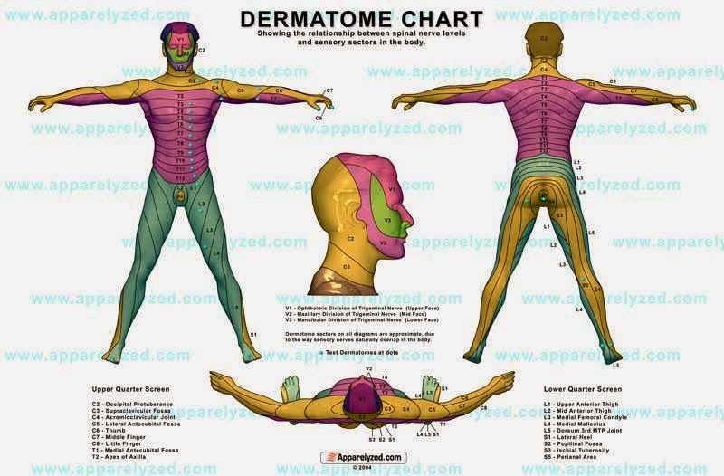 Photo of Dr. Andre Farah Chiropractor in Queens City, New York, United States - 1 Picture of Point of interest, Establishment, Health