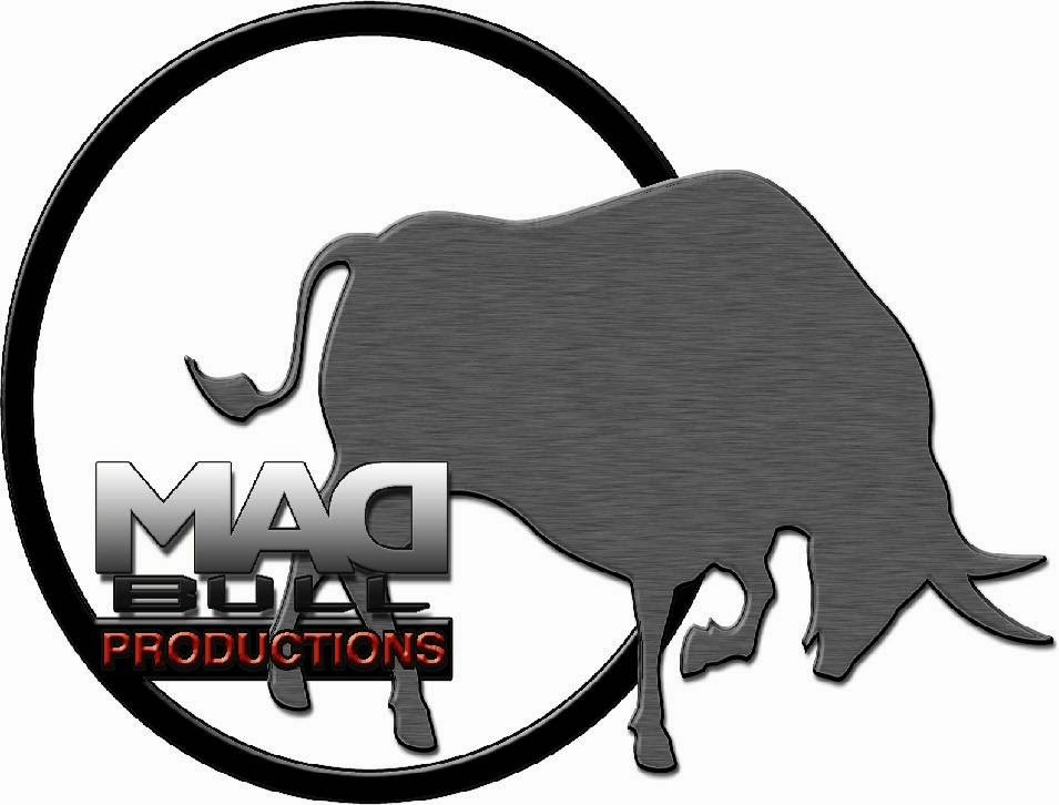 Photo of Mad Bull Productions Recording Studios in New York City, New York, United States - 2 Picture of Point of interest, Establishment