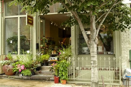 Photo of Sprout Home in Brooklyn City, New York, United States - 1 Picture of Point of interest, Establishment, Store, Florist