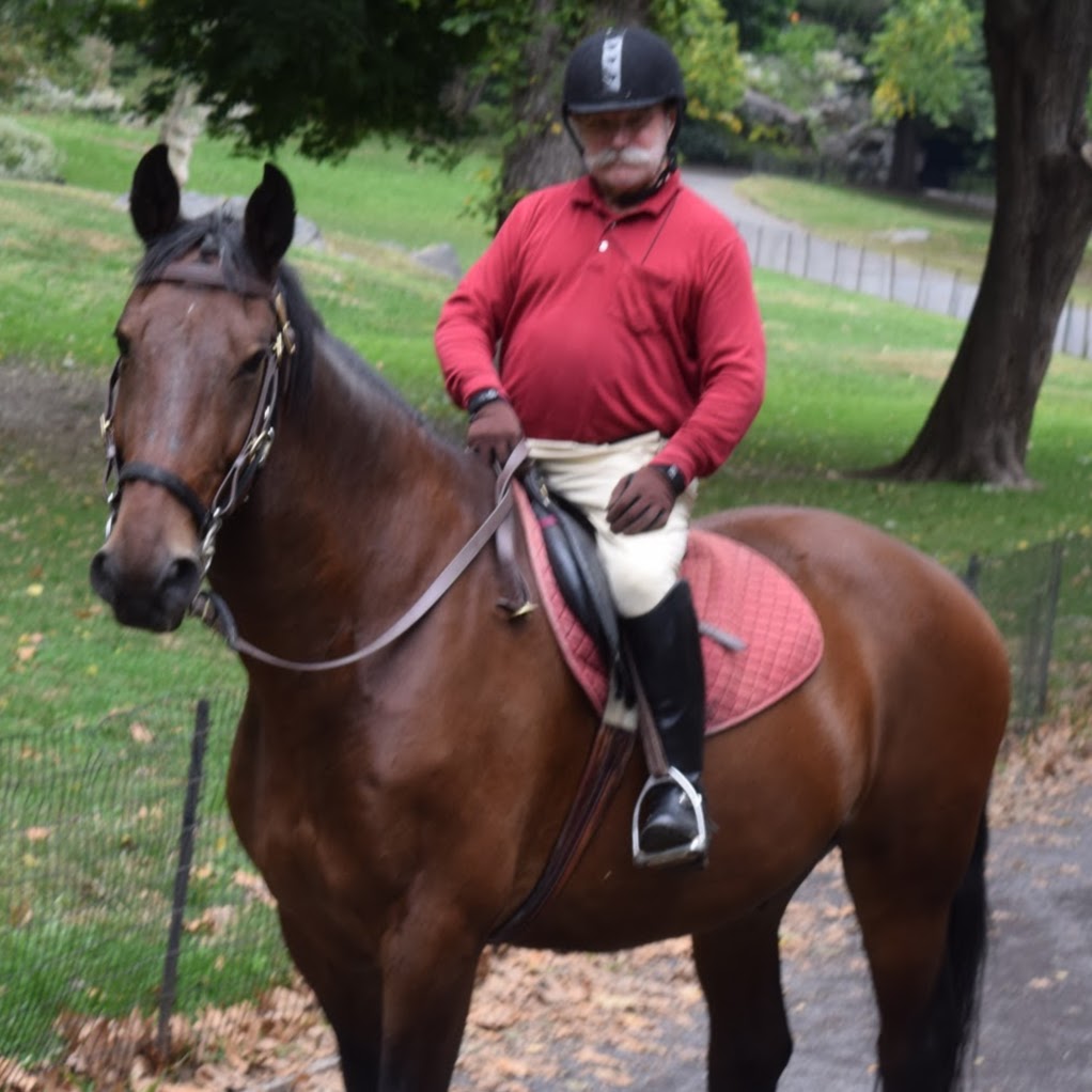 Photo of Central Park Horseback Rides in New York City, New York, United States - 1 Picture of Point of interest, Establishment, Travel agency