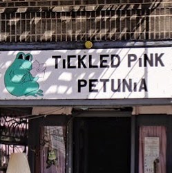 Photo of Tickled Pink Petunia in Guttenberg City, New Jersey, United States - 7 Picture of Point of interest, Establishment, Store