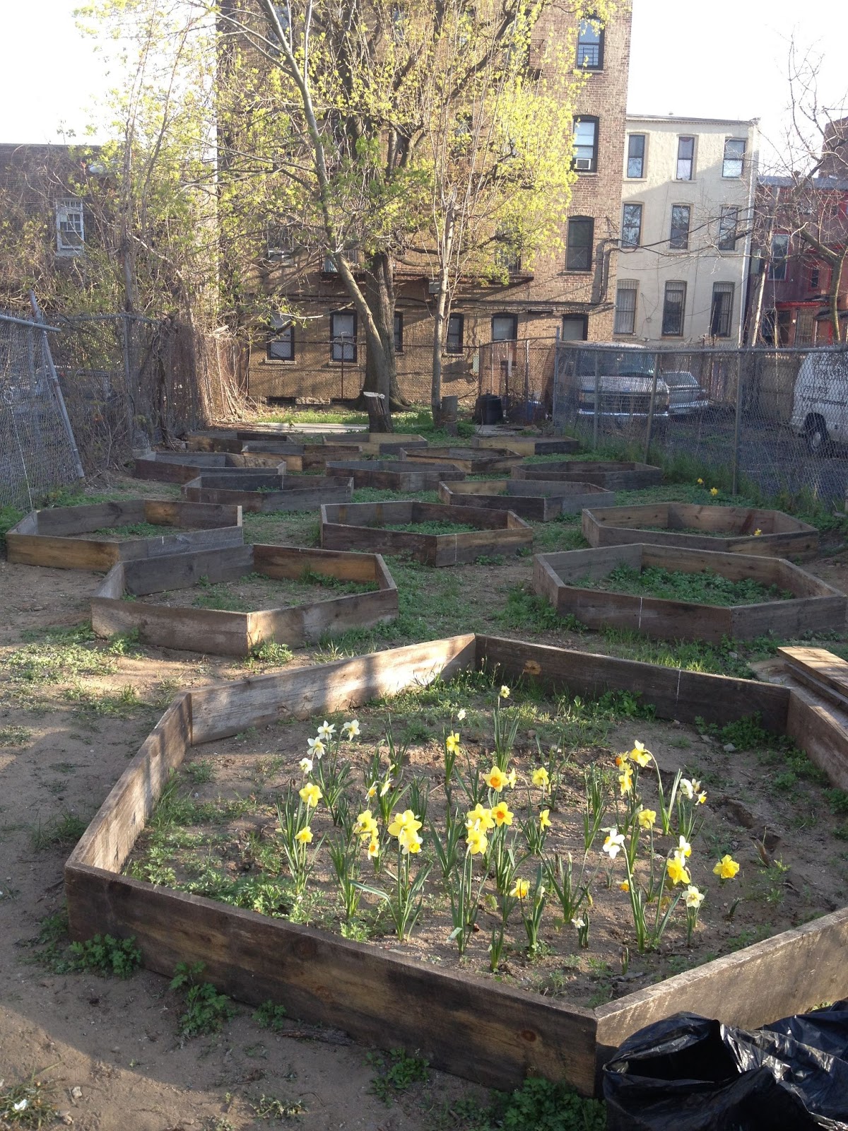 Photo of 100 Quincy Community Garden in New York City, New York, United States - 4 Picture of Point of interest, Establishment, Park