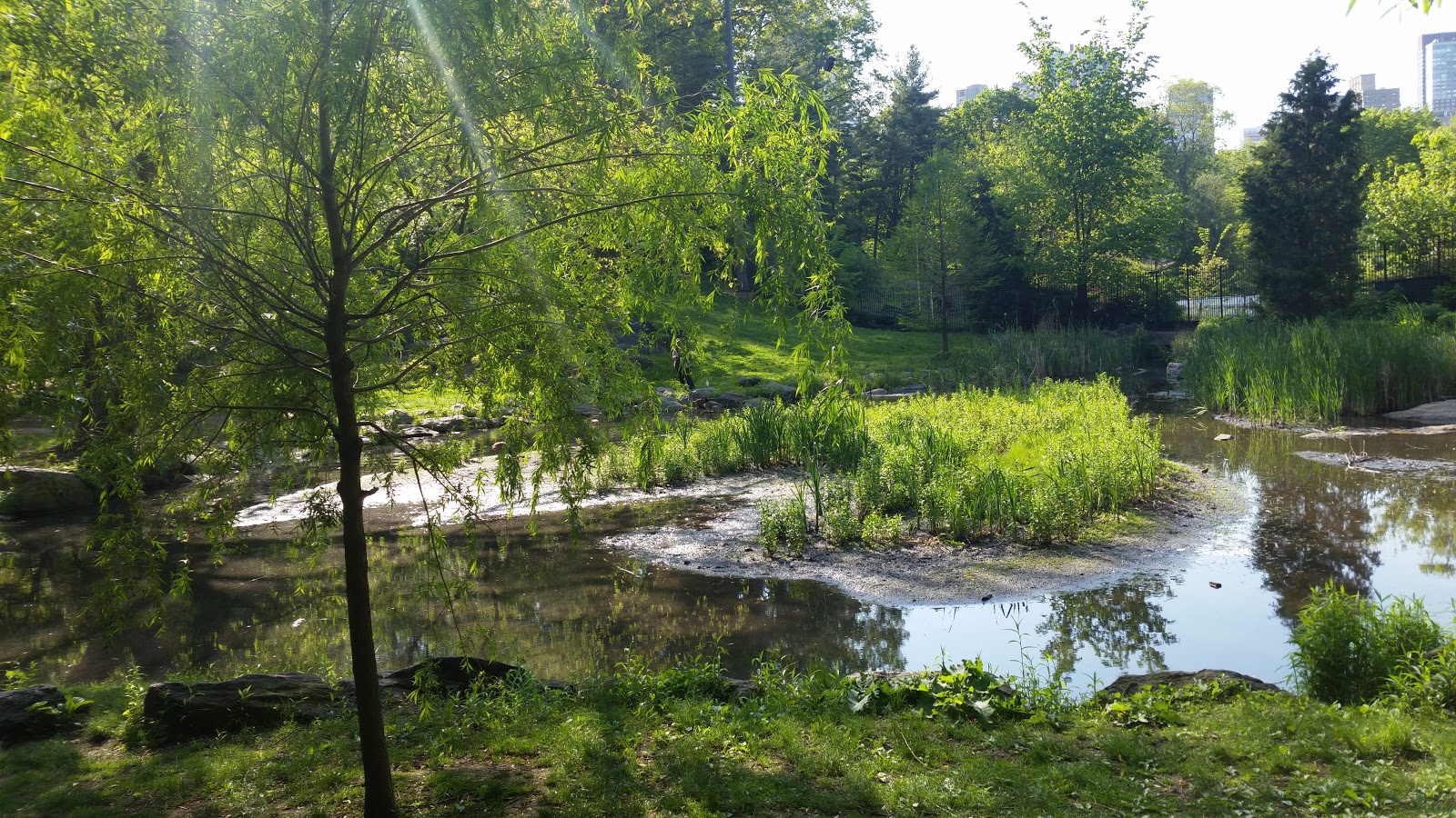 Photo of central park lagoon in New York City, New York, United States - 1 Picture of Point of interest, Establishment, Park