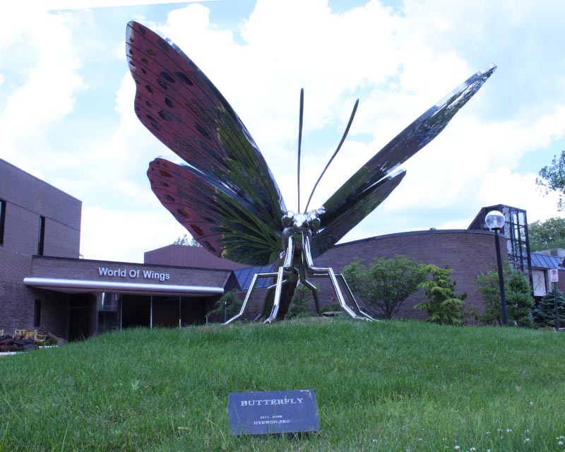 Photo of World of Wings in Teaneck City, New Jersey, United States - 4 Picture of Point of interest, Establishment, Museum