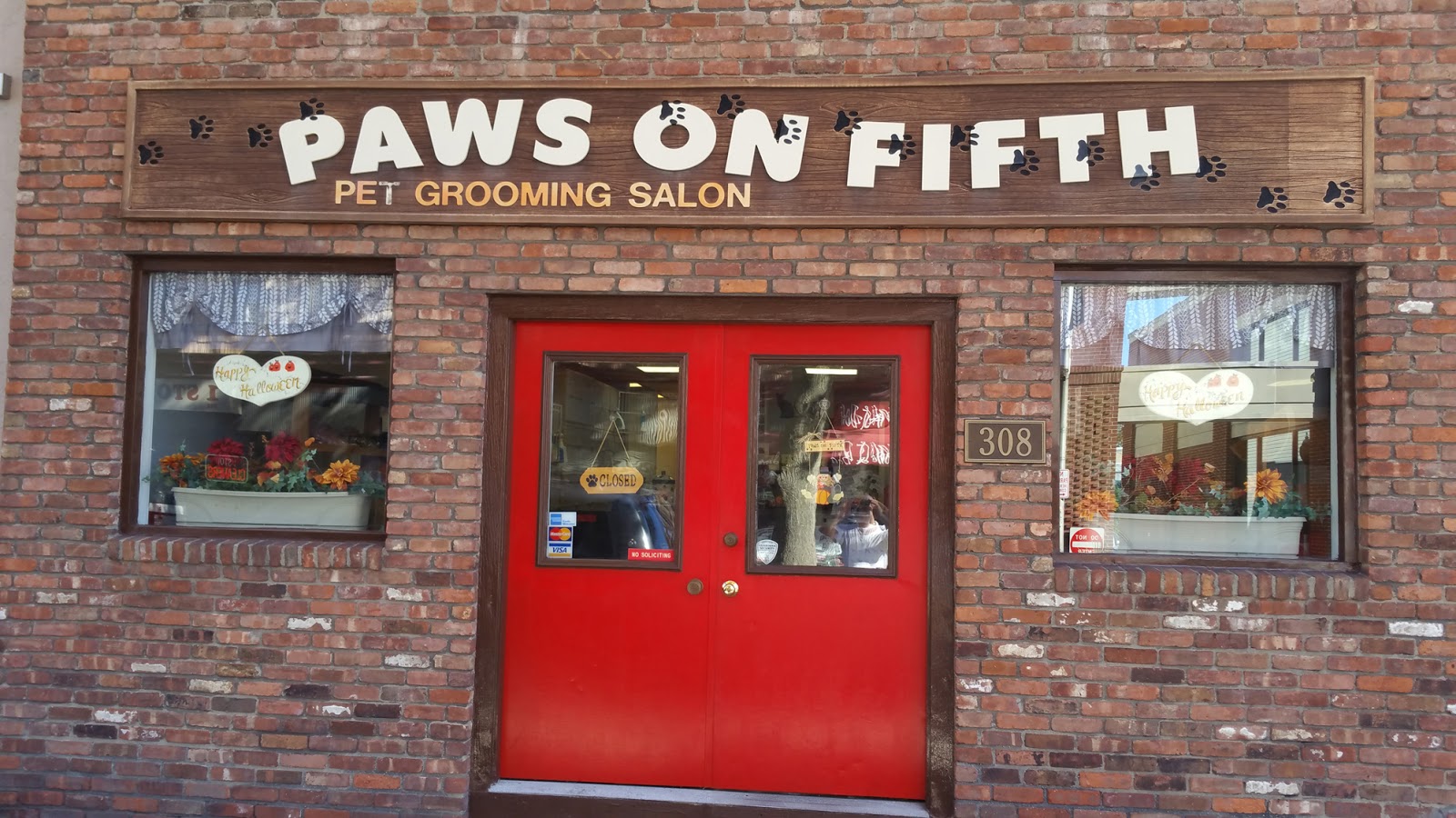 Photo of Paws On Fifth in Pelham City, New York, United States - 1 Picture of Point of interest, Establishment, Store