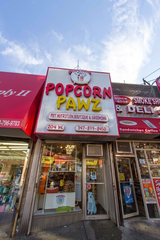 Photo of Popcorn Pawz - Kingsbridge in Bronx City, New York, United States - 2 Picture of Point of interest, Establishment, Store