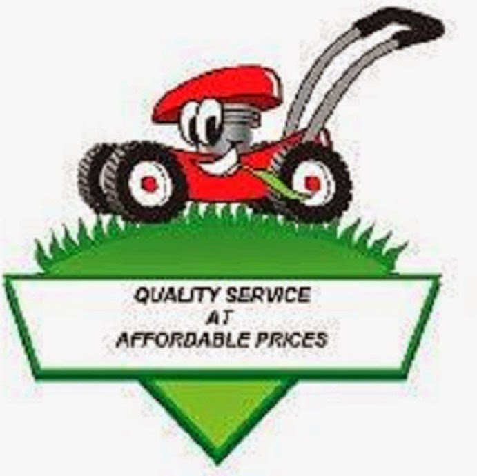 Photo of Competition Mower Repairs, Inc. in Mineola City, New York, United States - 1 Picture of Food, Point of interest, Establishment, Store