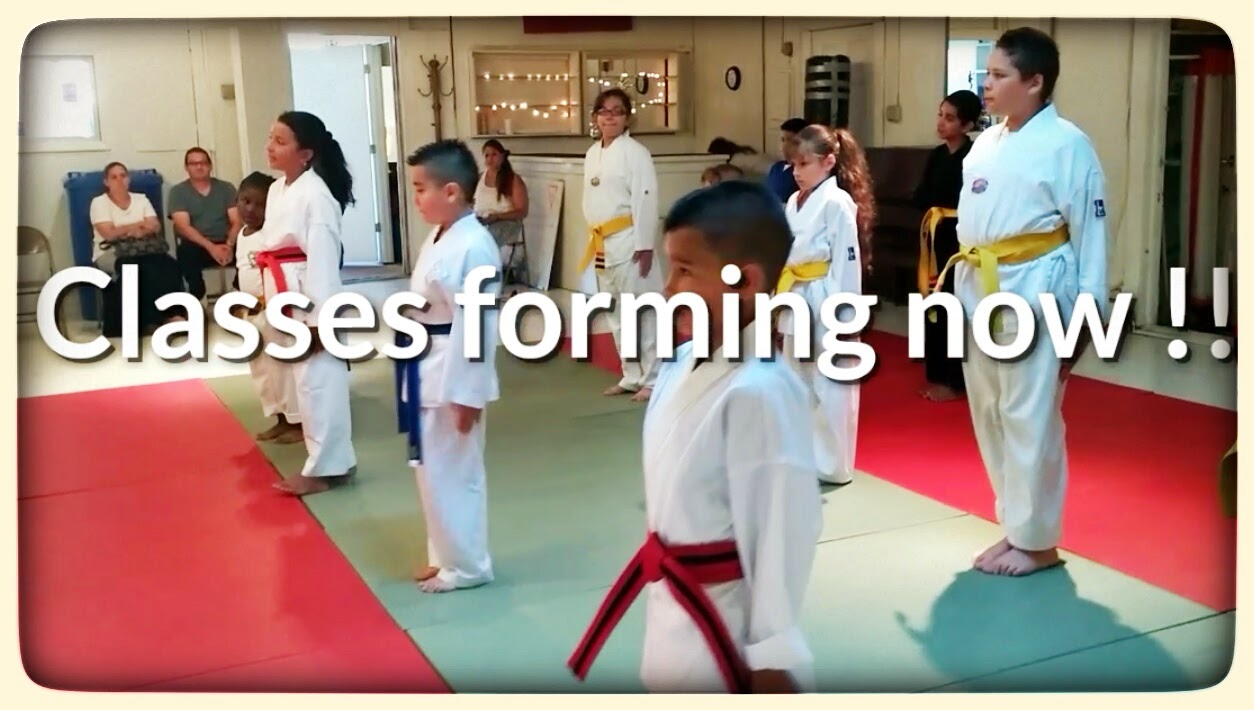 Photo of Fontanez Martial Arts and More in Perth Amboy City, New Jersey, United States - 1 Picture of Point of interest, Establishment, Health, Gym