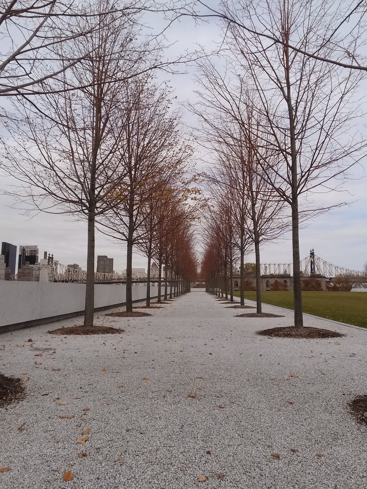 Photo of Franklin D. Roosevelt Four Freedoms Park in Roosevelt Island City, New York, United States - 10 Picture of Point of interest, Establishment, Park