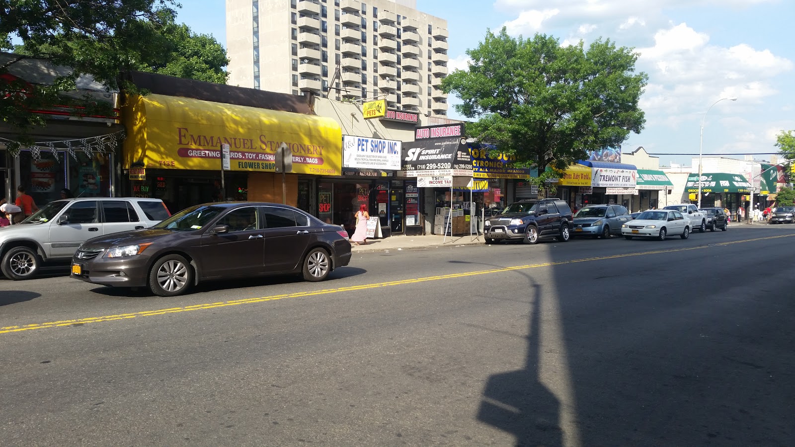 Photo of J & J Pet Shop in Bronx City, New York, United States - 2 Picture of Point of interest, Establishment, Store, Pet store