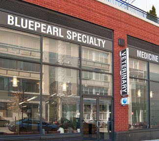 Photo of BluePearl Veterinary Partners in New York City, New York, United States - 3 Picture of Point of interest, Establishment, Health, Veterinary care