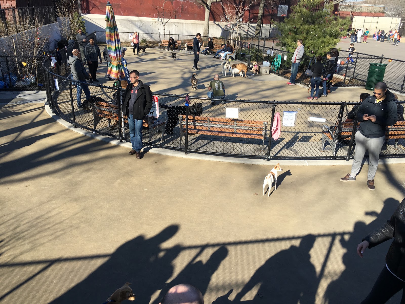 Photo of Torsney Playground in Long Island City, New York, United States - 2 Picture of Point of interest, Establishment