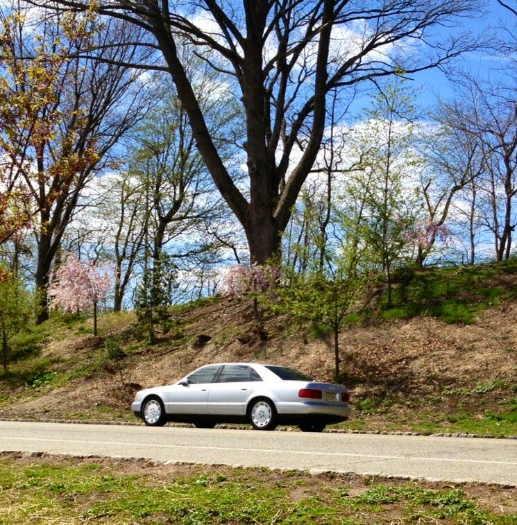 Photo of Quattrohaus LLC in Newark City, New Jersey, United States - 2 Picture of Point of interest, Establishment, Store, Car repair