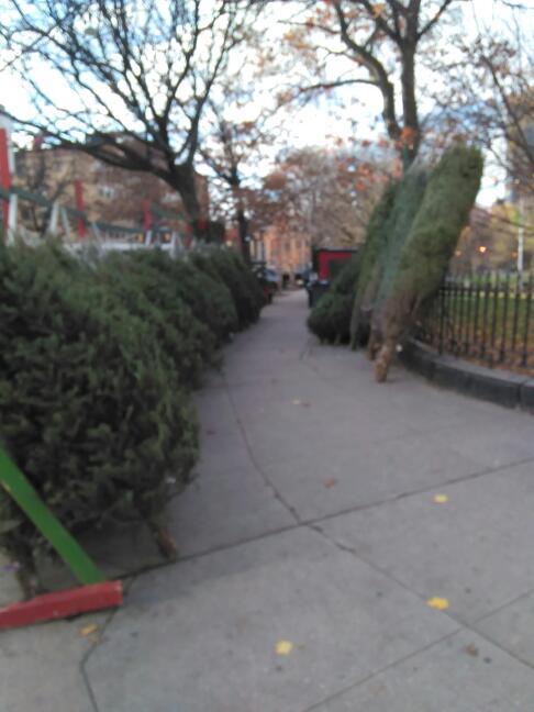 Photo of Marcus Garvey Park in New York City, New York, United States - 6 Picture of Point of interest, Establishment, Park