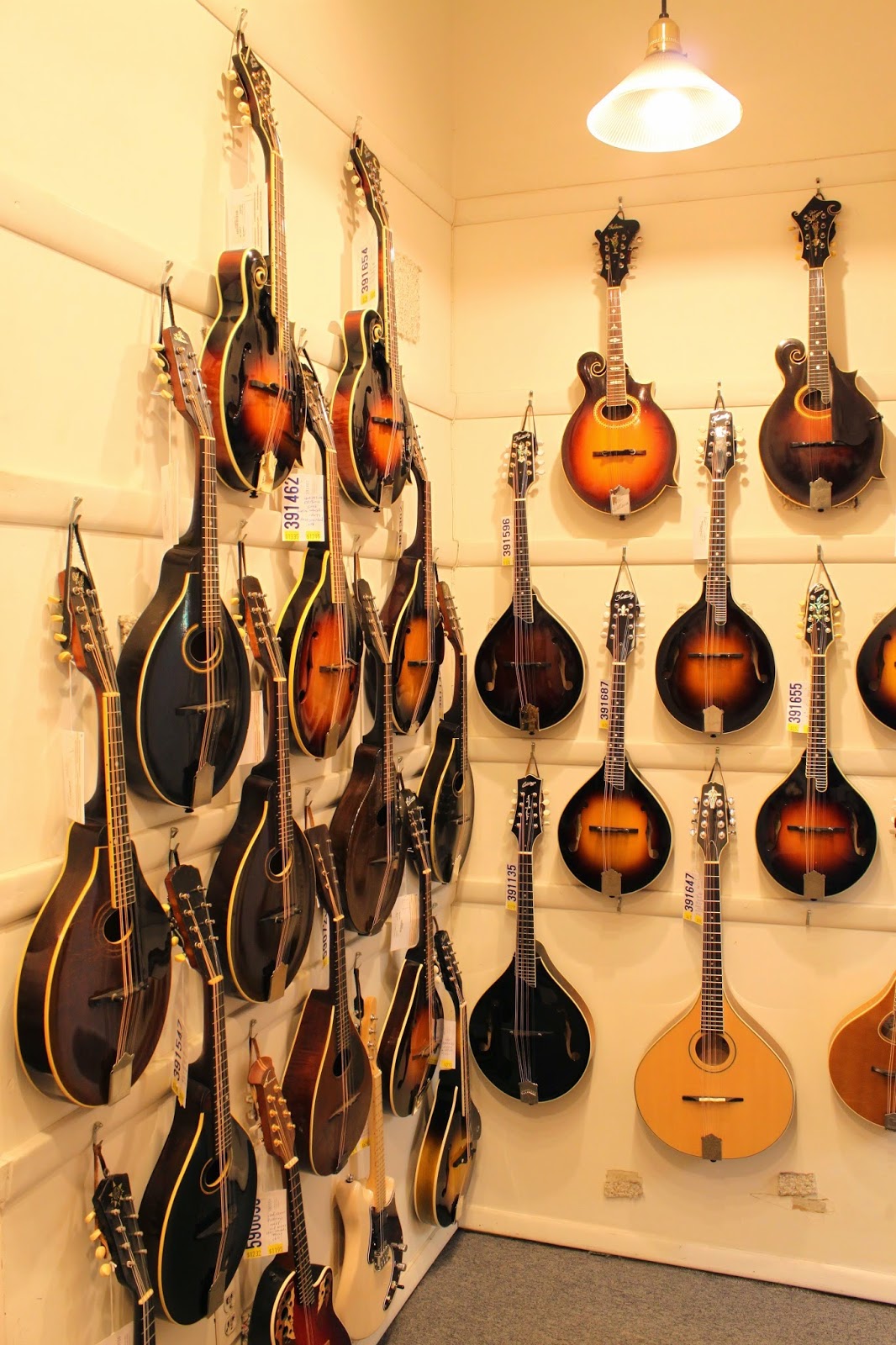 Photo of Mandolin Brothers in Staten Island City, New York, United States - 3 Picture of Point of interest, Establishment, Store
