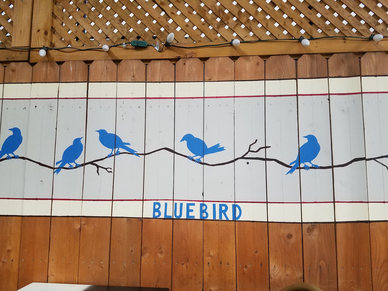 Photo of Bluebird in Kings County City, New York, United States - 3 Picture of Point of interest, Establishment, Bar