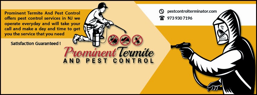 Photo of Prominent Termite And Pest Control in Paterson City, New Jersey, United States - 1 Picture of Point of interest, Establishment, Store, Home goods store