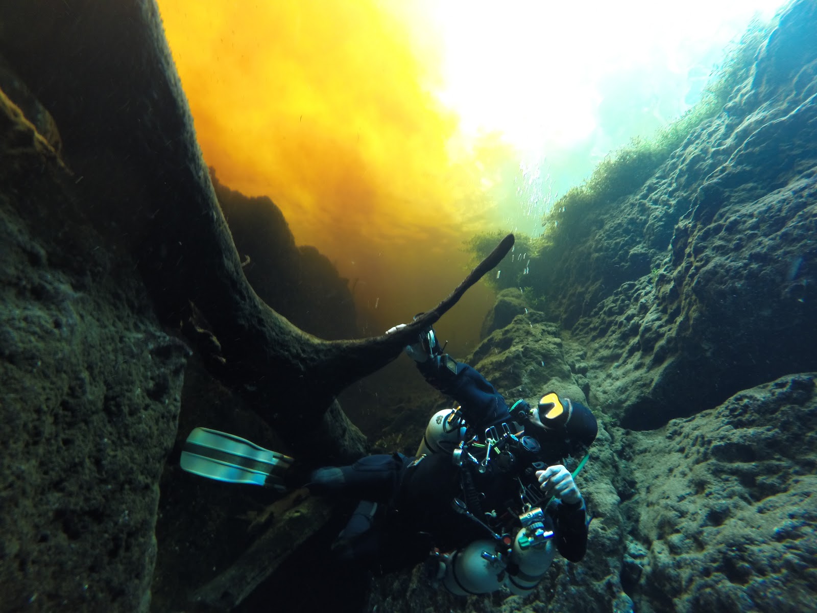 Photo of Urban Manta Scuba Lessons in New York City, New York, United States - 2 Picture of Point of interest, Establishment, Store, School, Travel agency