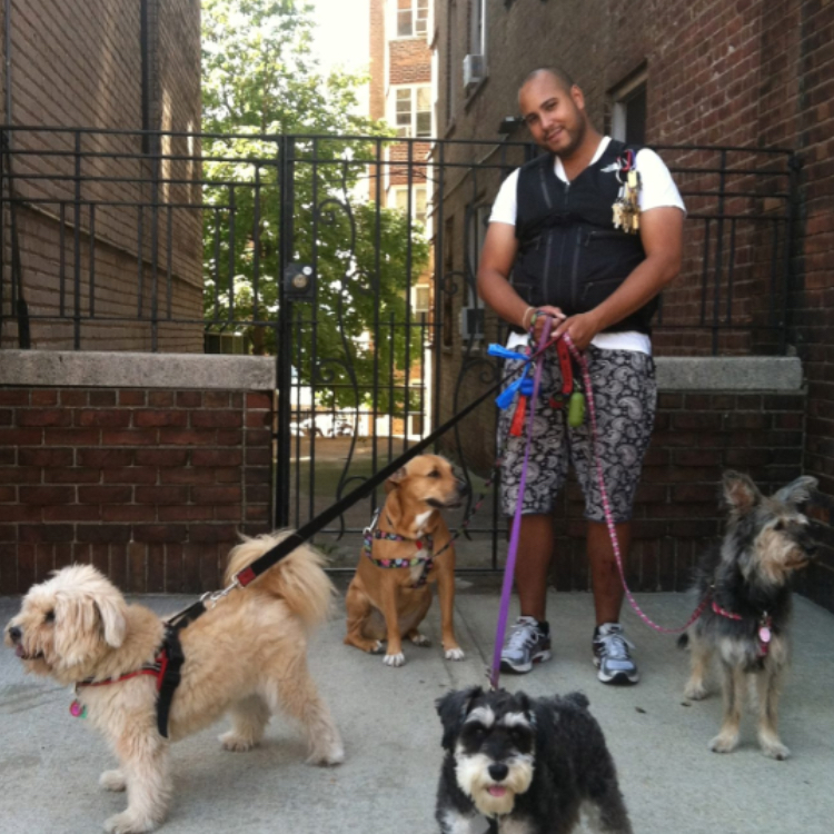 Photo of Hot Paws Pet Care in New York City, New York, United States - 1 Picture of Point of interest, Establishment