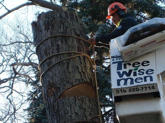 Photo of The Tree Wise Men in Rockville Centre City, New York, United States - 3 Picture of Point of interest, Establishment