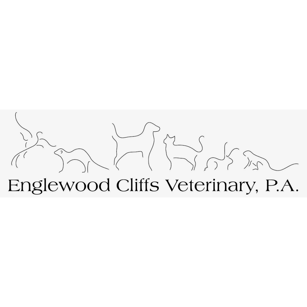 Photo of Englewood Cliffs Veterinary, PA in Englewood Cliffs City, New Jersey, United States - 4 Picture of Point of interest, Establishment, Veterinary care