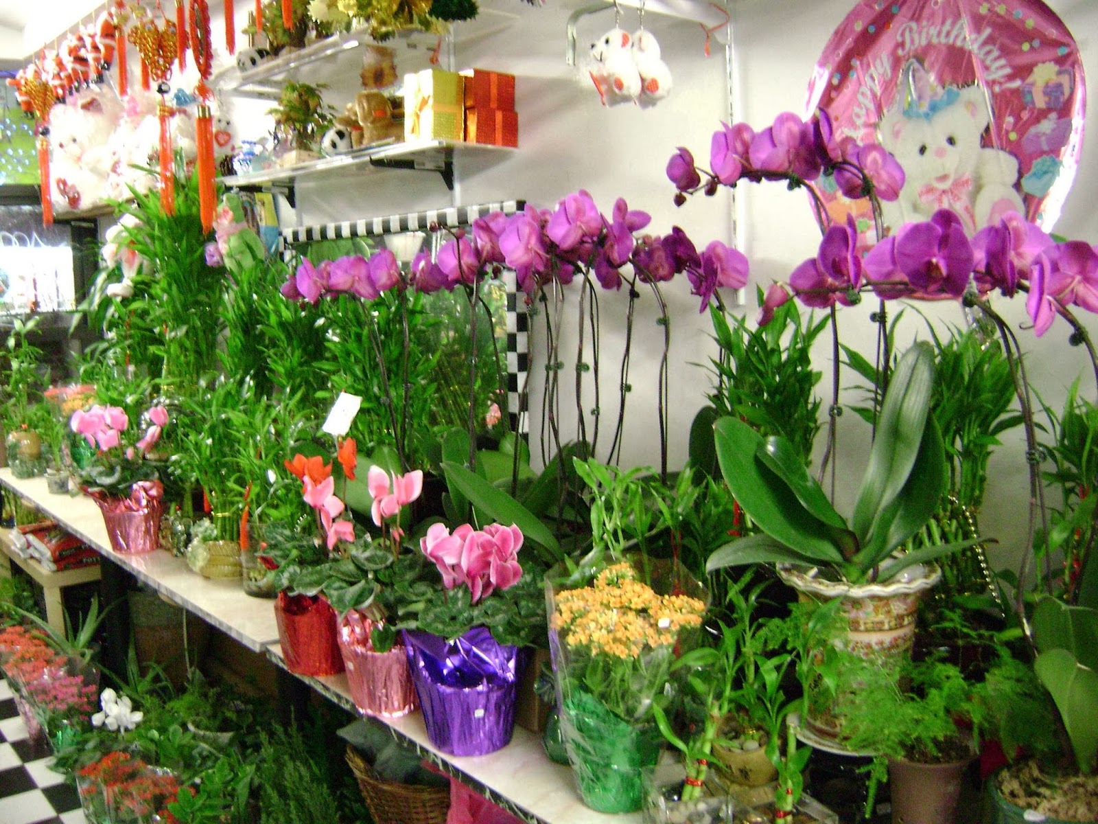 Photo of bell gift @ florist in Queens City, New York, United States - 1 Picture of Point of interest, Establishment, Store, Florist
