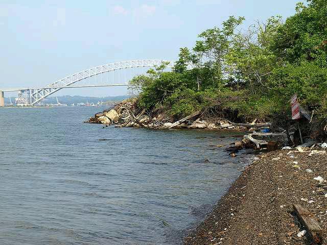 Photo of Shooter's Island Bird Sanctuary in New York City, New York, United States - 1 Picture of Point of interest, Establishment, Park