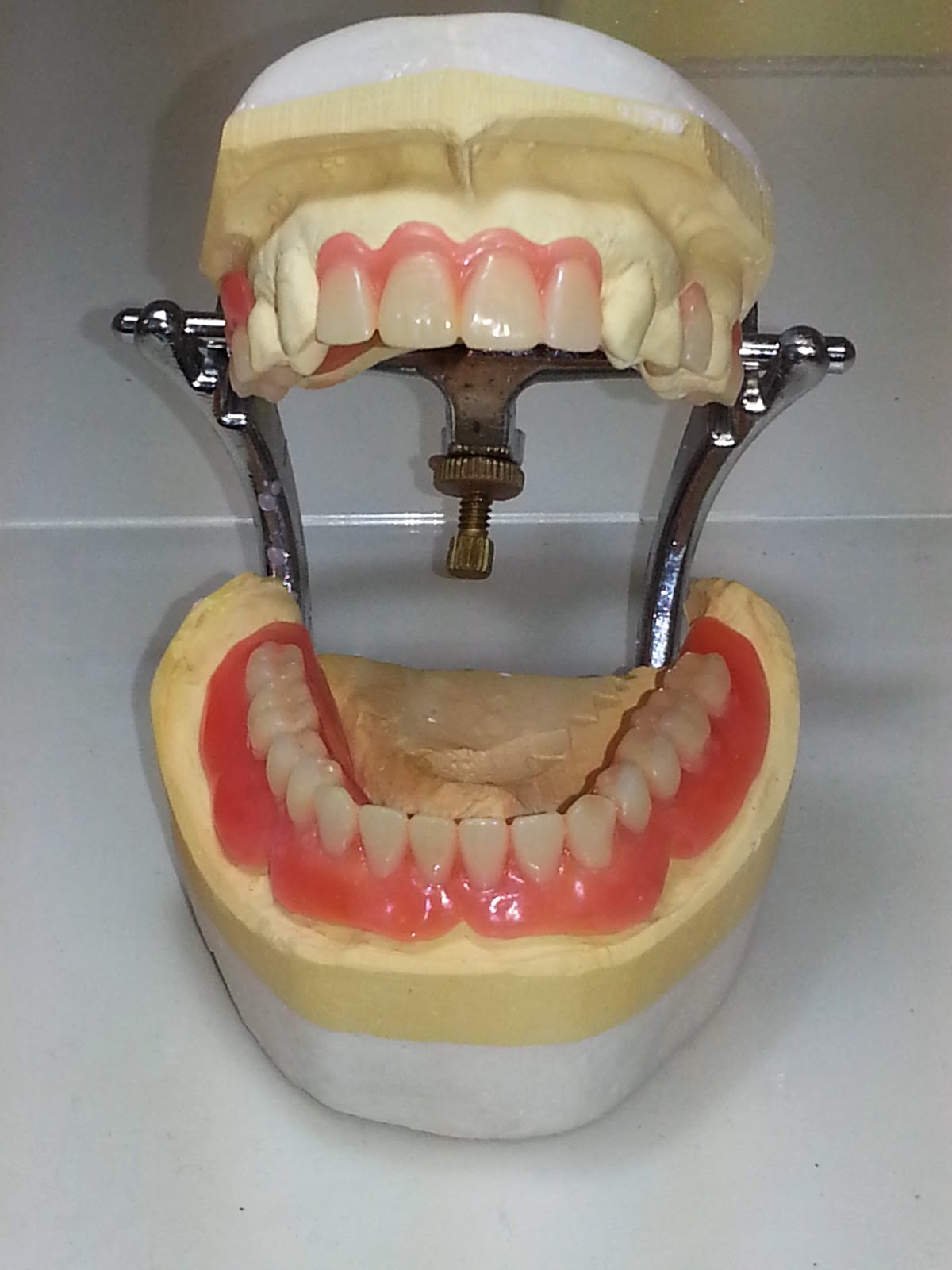 Photo of Fam Karas Dental Laboratory L.L.C in Kings County City, New York, United States - 2 Picture of Point of interest, Establishment, Health