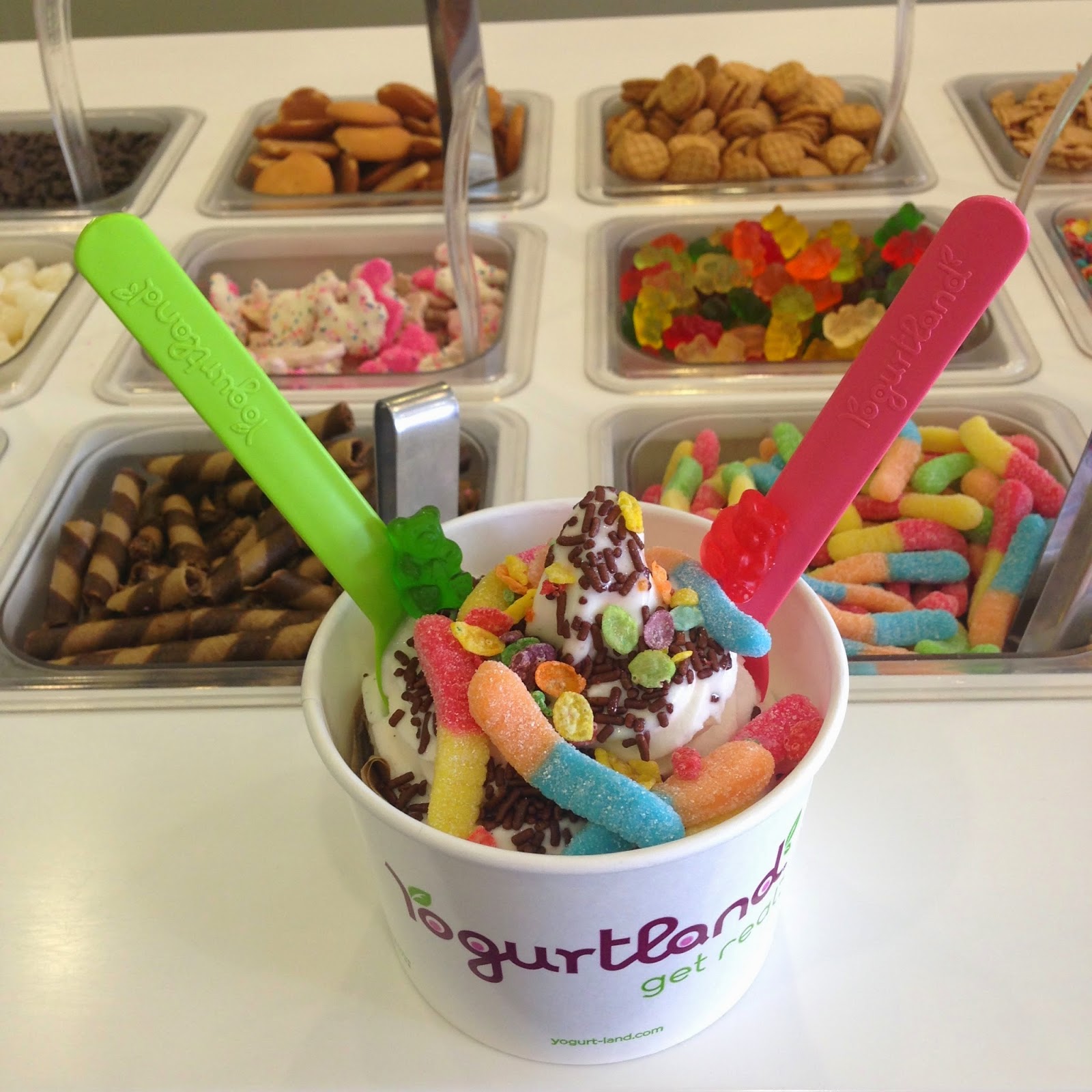 Photo of Yogurtland in New York City, New York, United States - 7 Picture of Restaurant, Food, Point of interest, Establishment, Store