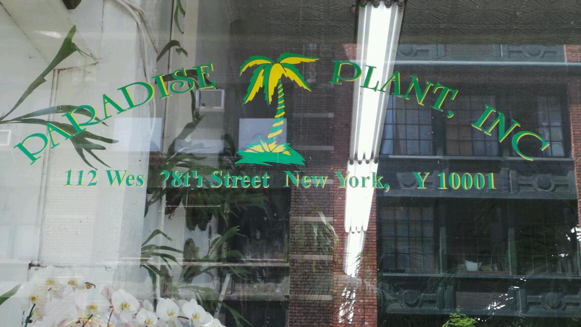 Photo of Foliage Paradise in New York City, New York, United States - 1 Picture of Food, Point of interest, Establishment