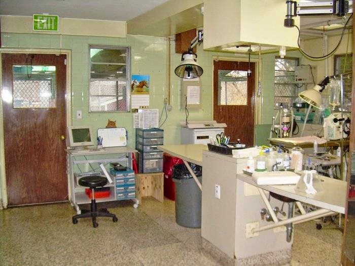 Photo of Foster Animal Hospital in Clifton City, New Jersey, United States - 4 Picture of Point of interest, Establishment, Veterinary care