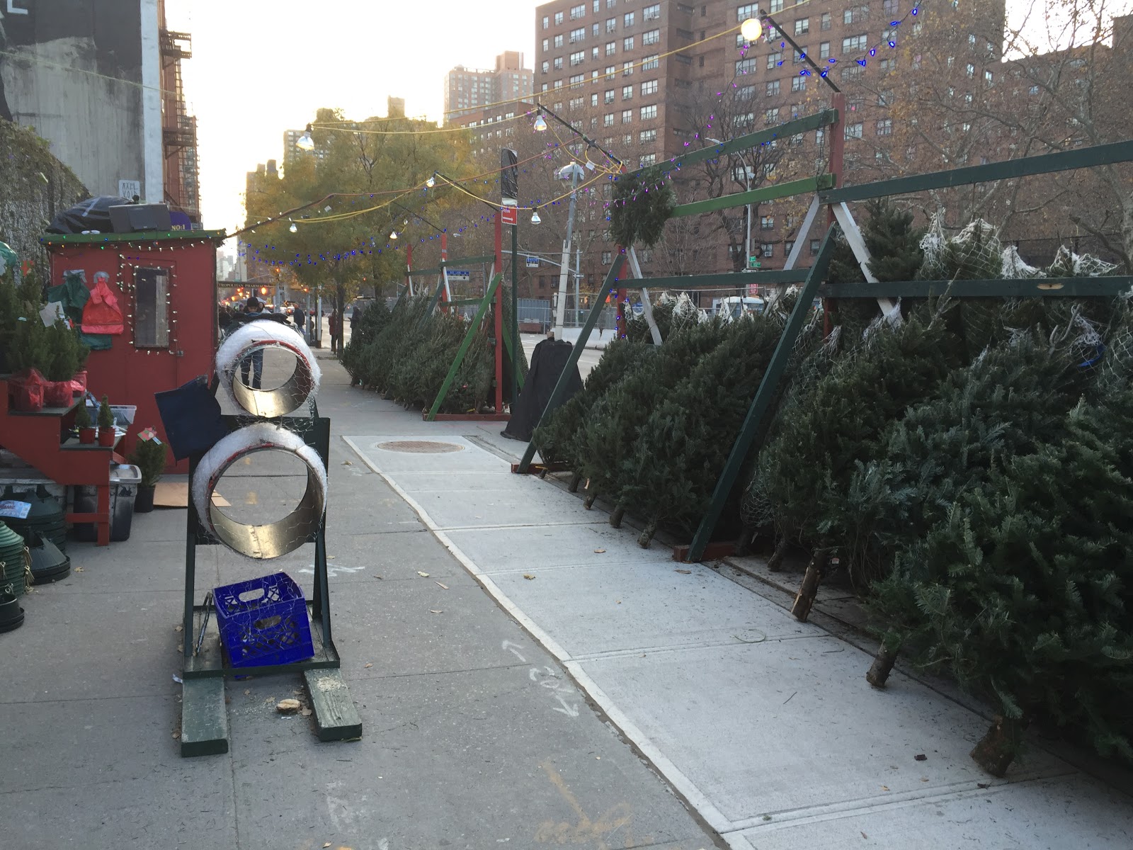 Photo of GBF Christmas Trees in New York City, New York, United States - 1 Picture of Point of interest, Establishment, Store