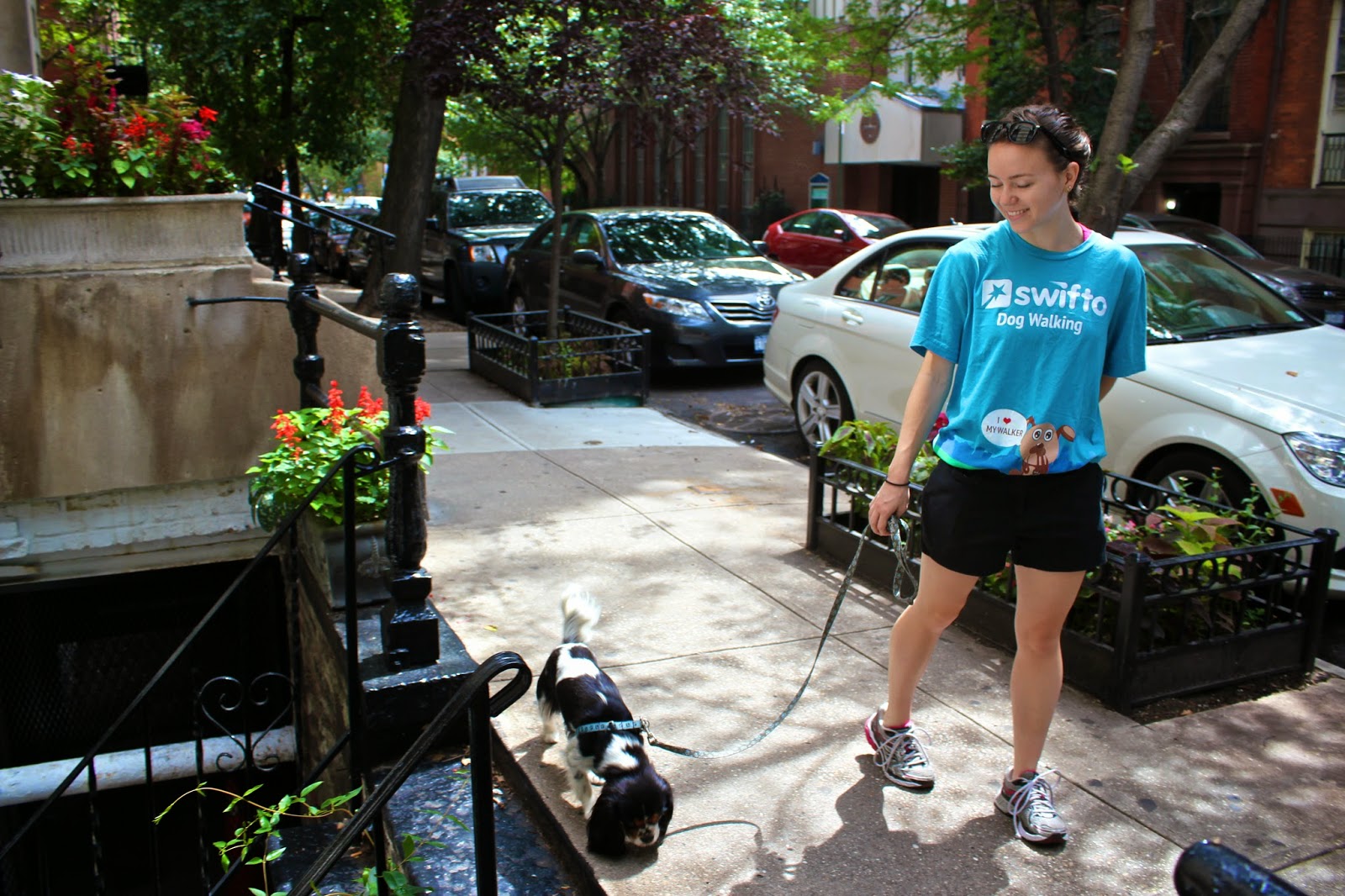 Photo of Swifto Dog Walking Brooklyn in Kings County City, New York, United States - 10 Picture of Point of interest, Establishment