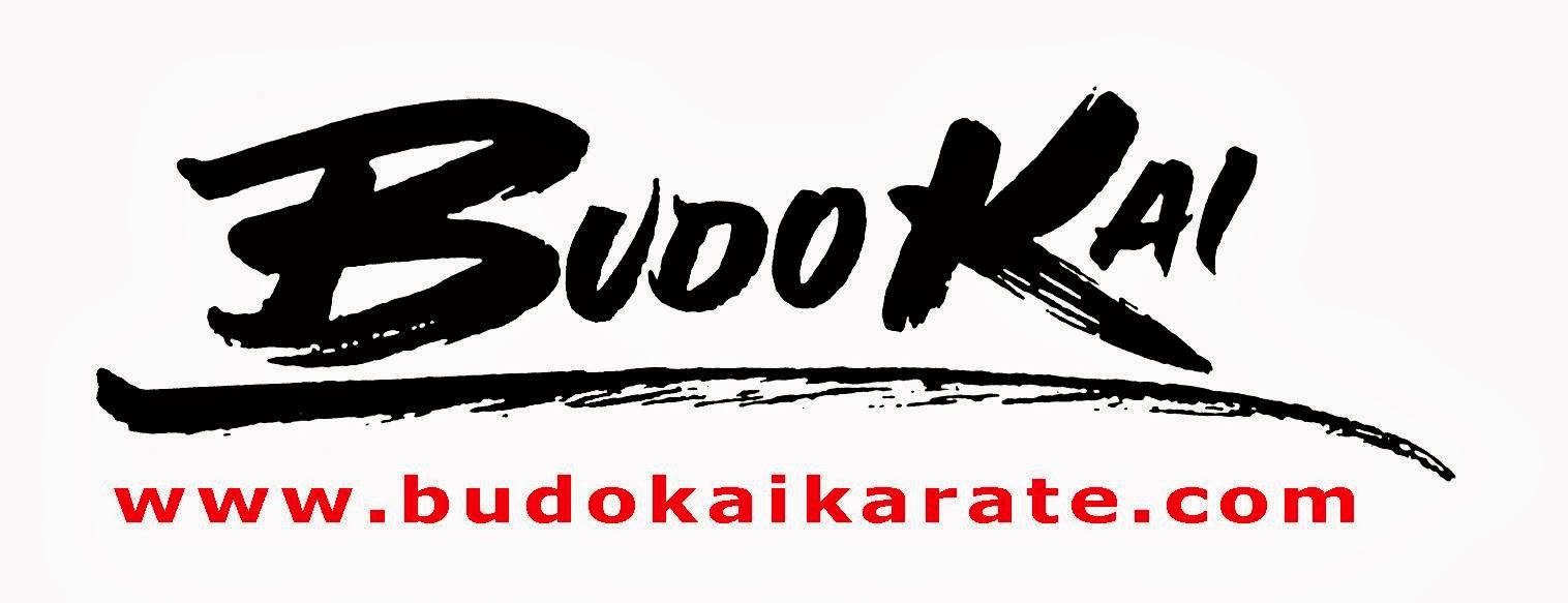 Photo of Budo Kai Karate in River Edge City, New Jersey, United States - 1 Picture of Point of interest, Establishment, Health