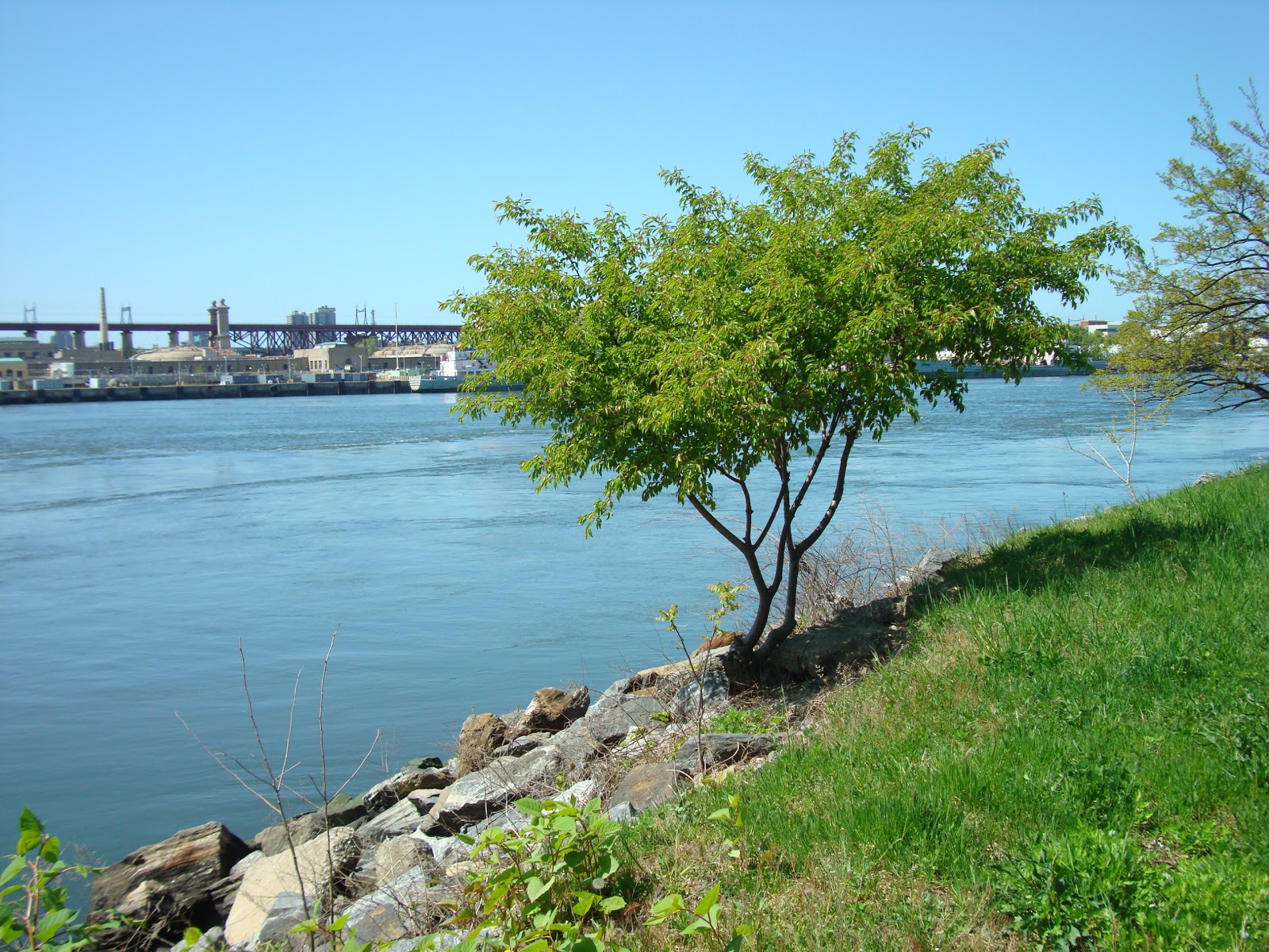 Photo of Astoria Park in Astoria City, New York, United States - 8 Picture of Point of interest, Establishment, Park