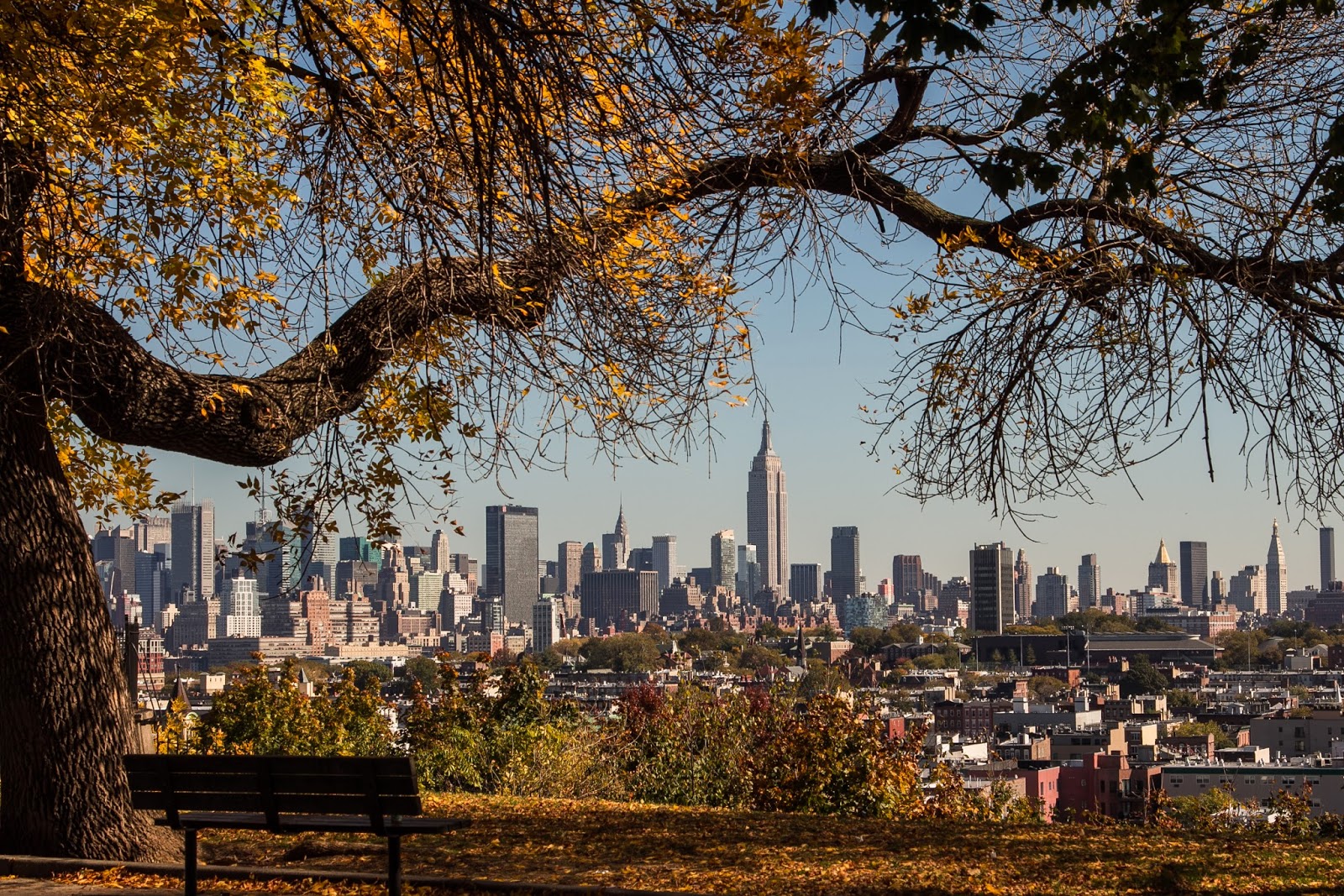 Photo of Dixon Leasing in Jersey City, New Jersey, United States - 2 Picture of Point of interest, Establishment, Real estate agency