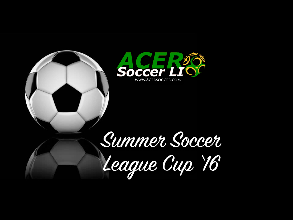 Photo of Acer Soccer LI in Lynbrook City, New York, United States - 2 Picture of Point of interest, Establishment