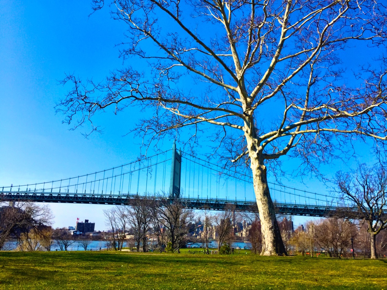 Photo of Wards Island Park in New York City, New York, United States - 5 Picture of Point of interest, Establishment, Park