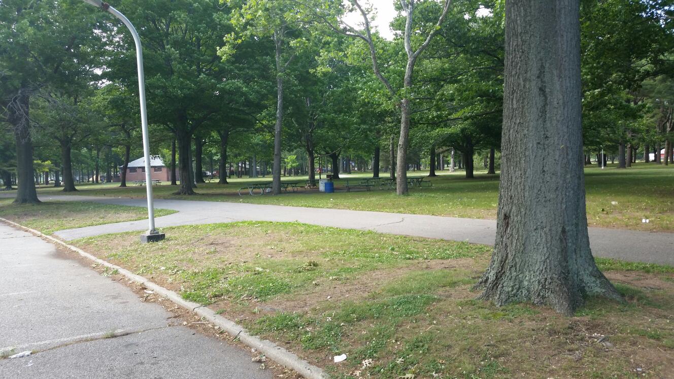 Photo of Eisenhower Park in East Meadow City, New York, United States - 10 Picture of Point of interest, Establishment, Park