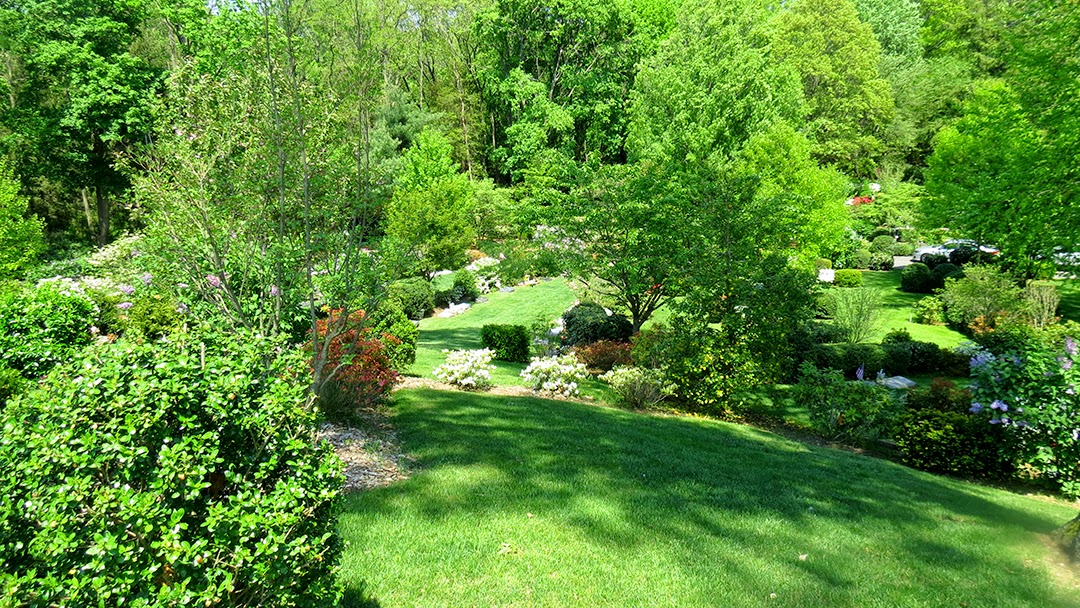 Photo of Locust Valley Cemetery in Locust Valley City, New York, United States - 2 Picture of Point of interest, Establishment, Cemetery