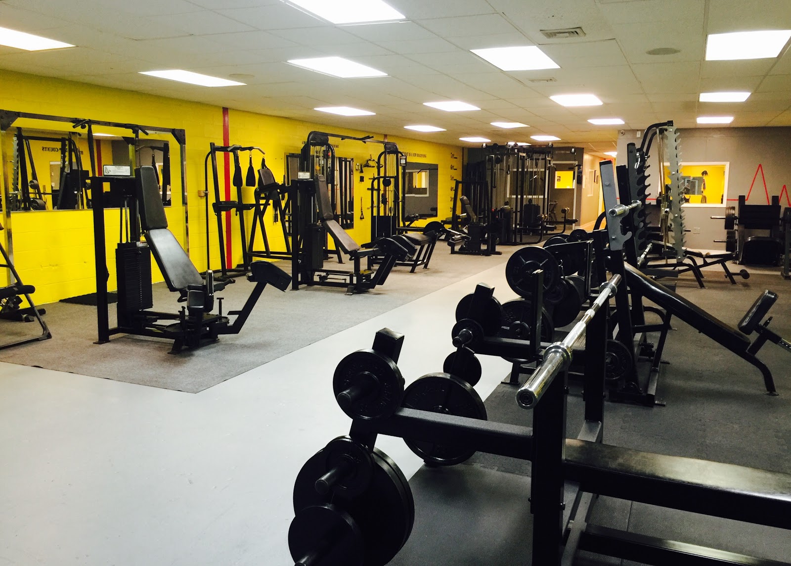 Photo of Next Level Personal Training in Fairfield City, New Jersey, United States - 6 Picture of Point of interest, Establishment, Health, Gym